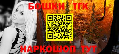 индика Кинель