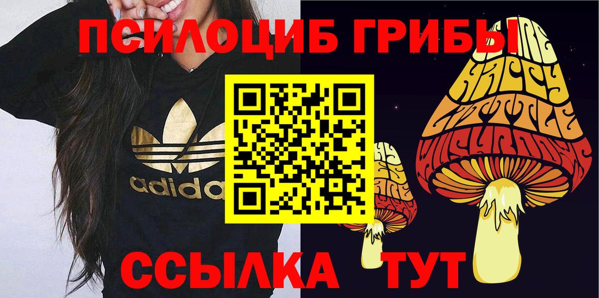 Псилоцибиновые грибы Psilocybe  Вход с VPN  Добрянка 